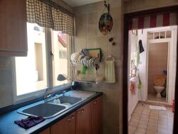 Seletar Springs Condominium (D28), Condominium #462538651